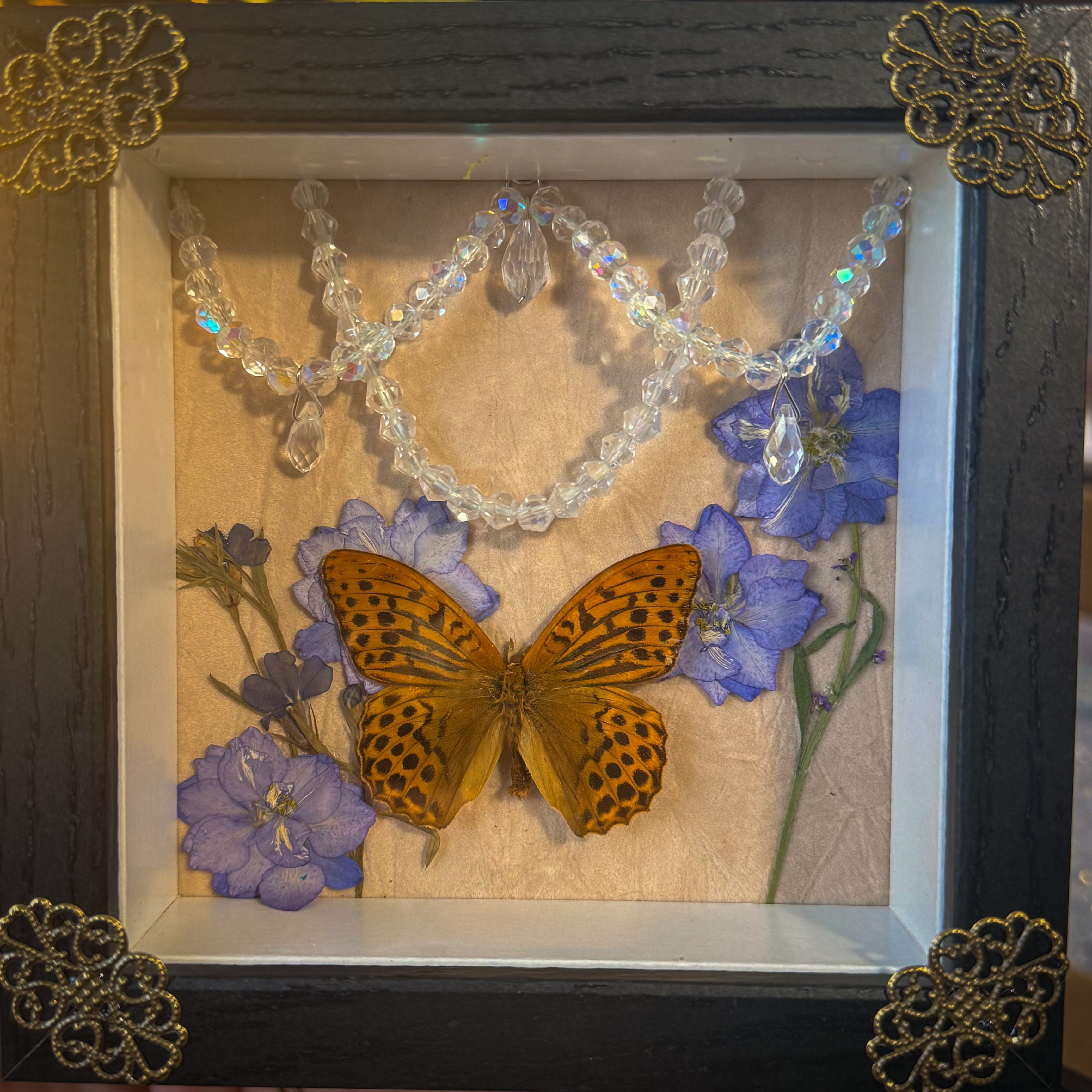 Gossamer Relic - Butterfly & Crystal Shadow Box