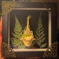Forest Relic — Bone & Fern Specimen Display