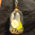 Relic of Passage — Tooth Curio Cloche Necklace