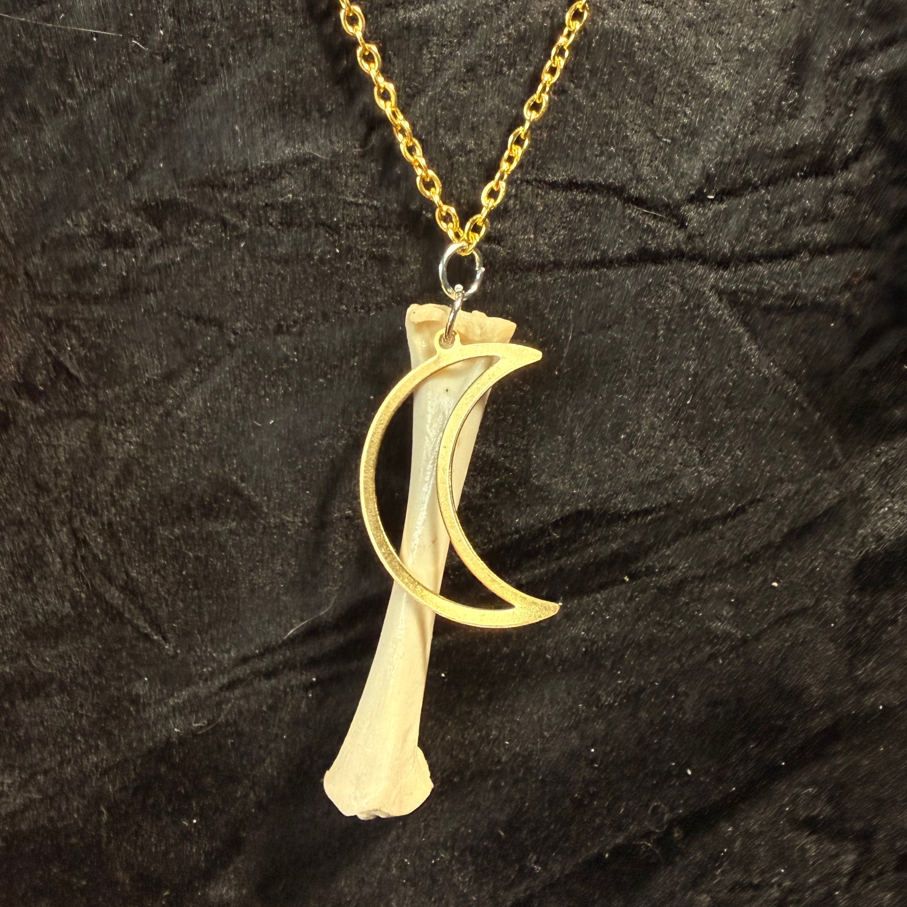Moonbound Relic — Rabbit Bone Crescent Necklace