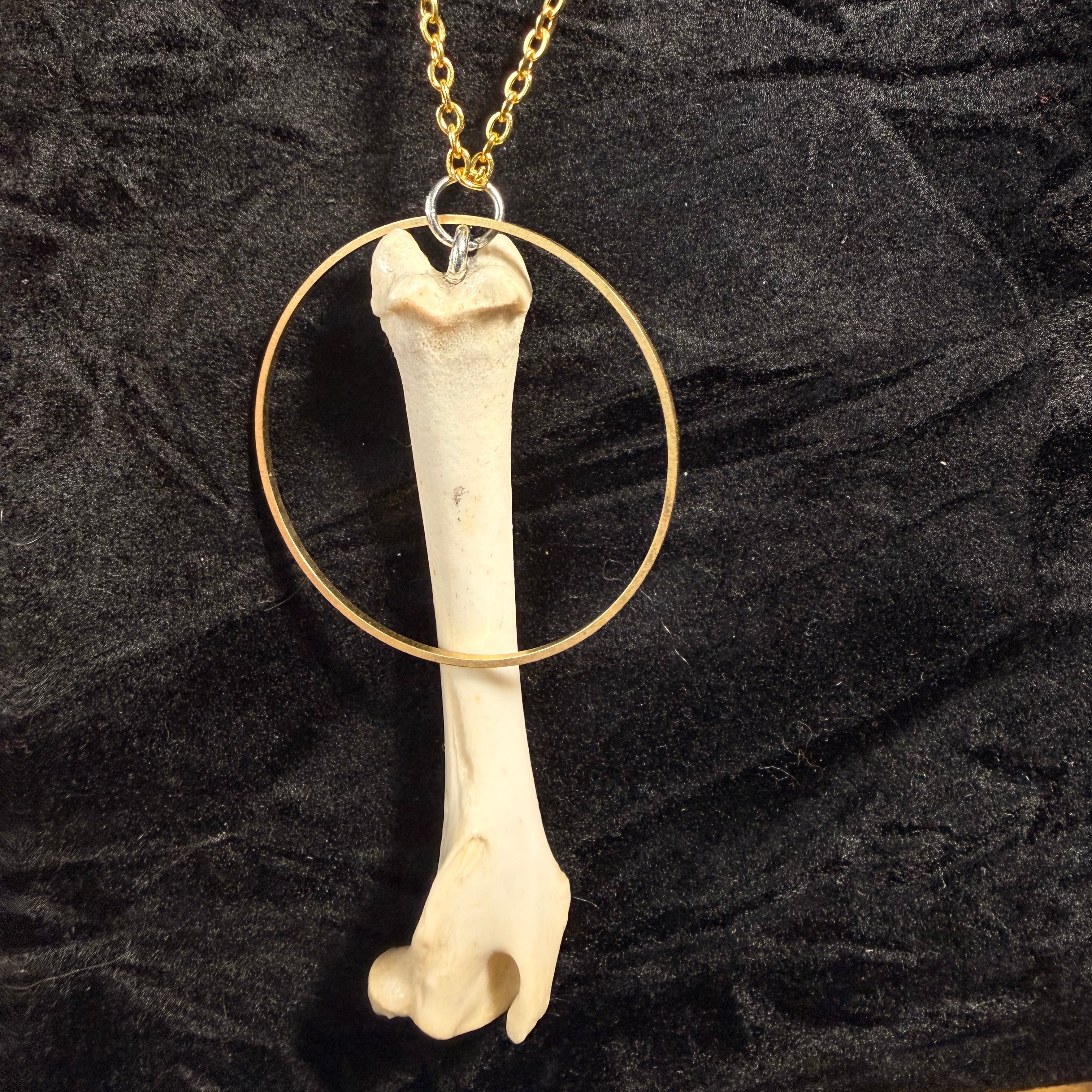 Forest Relic — Rabbit Bone Circle Pendant