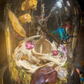 Crown of the Hollow — Skull Curio Dome
