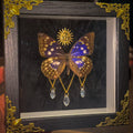 Solar Veil — Celestial Butterfly Shadow Box