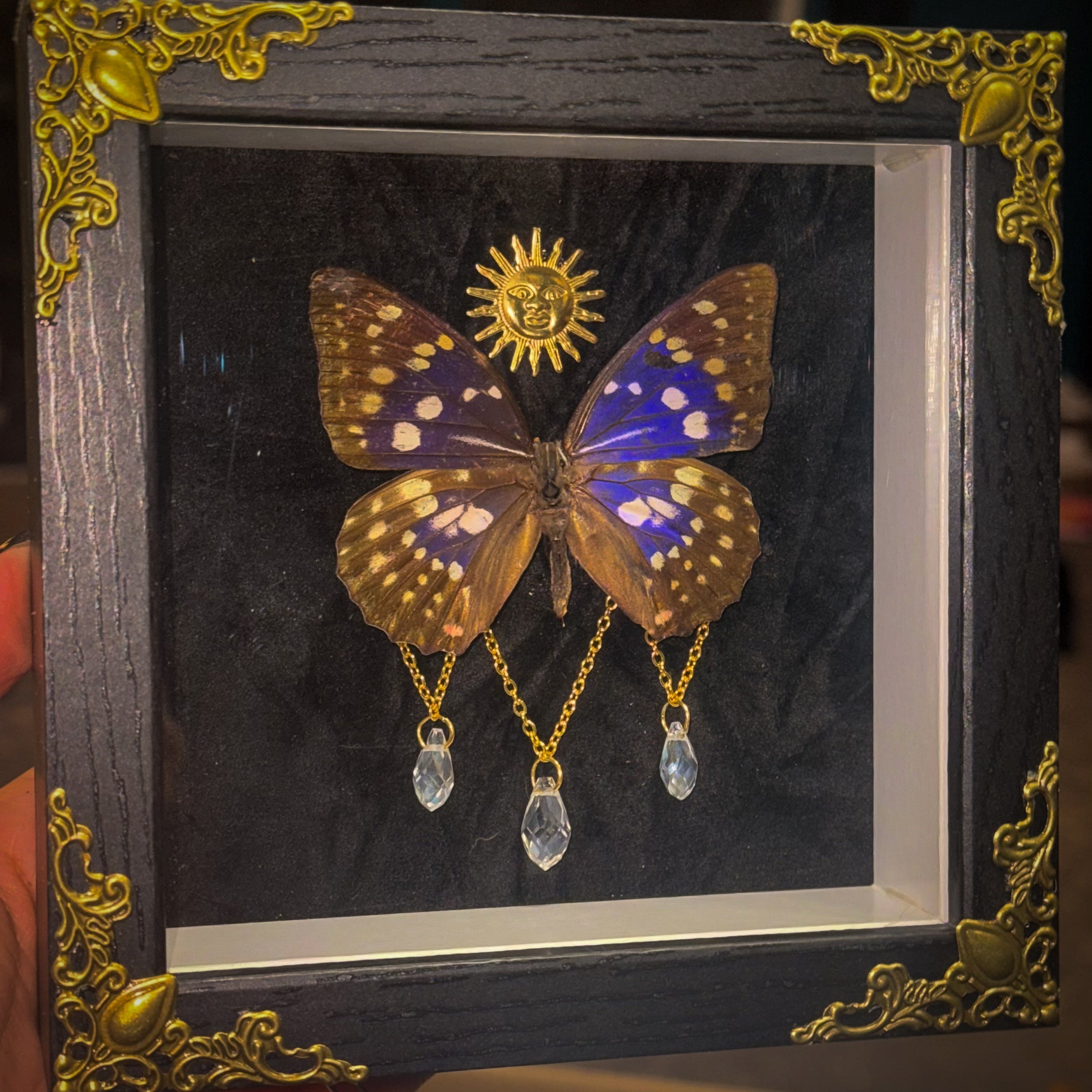 Solar Veil — Celestial Butterfly Shadow Box