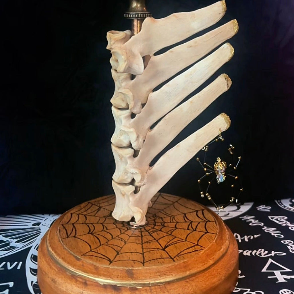 Widows spine lamp