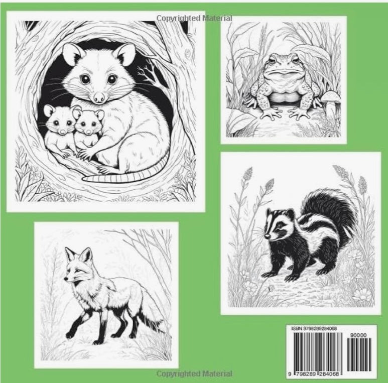 Midnight Creatures — Nocturnal Animal Coloring Book