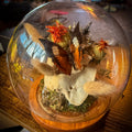 Veil of the Wild — Butterfly & Bone Curio Dome