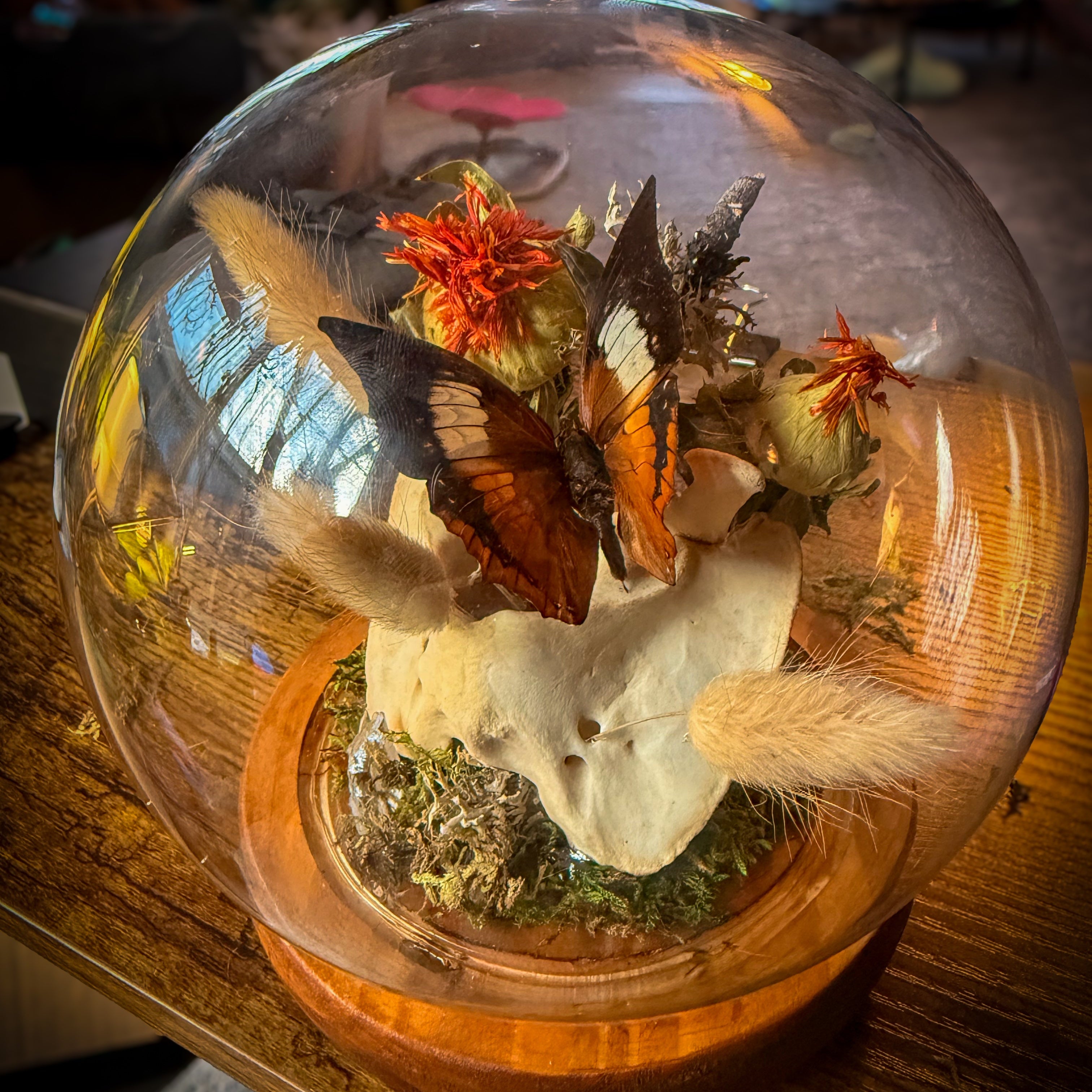 Veil of the Wild — Butterfly & Bone Curio Dome