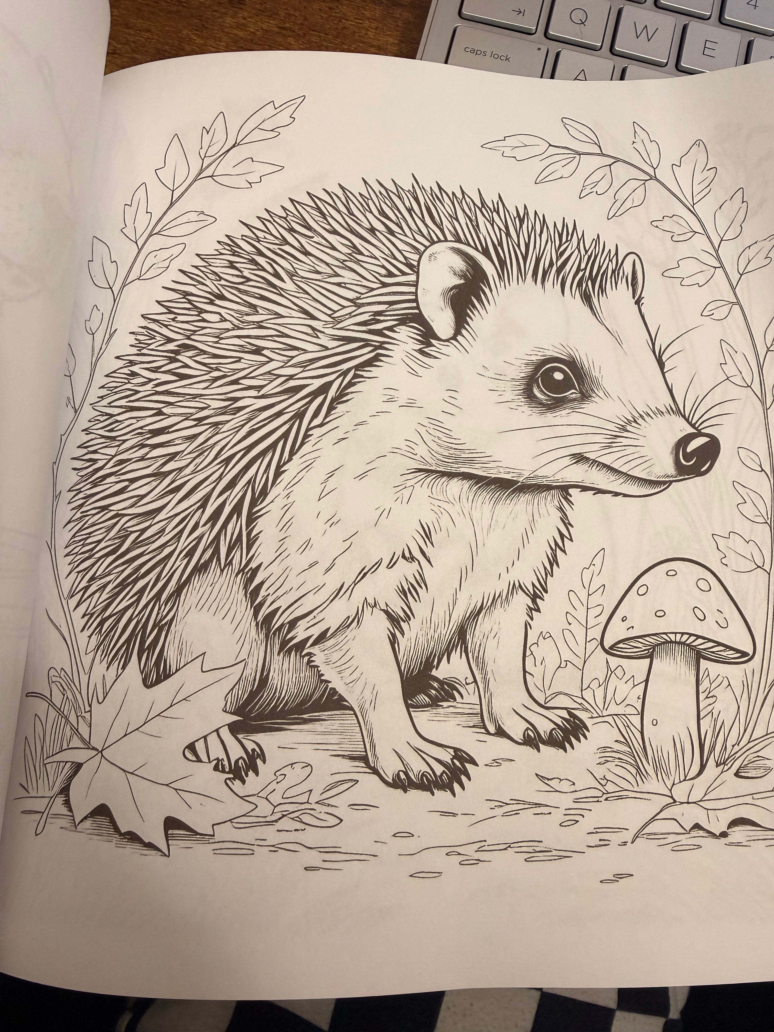 Midnight Creatures — Nocturnal Animal Coloring Book