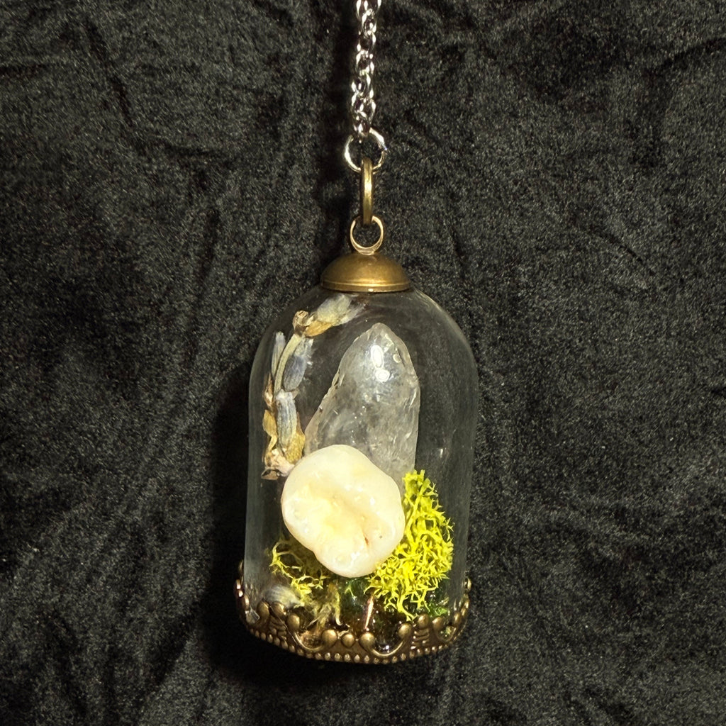 Relic of Passage — Tooth Curio Cloche Necklace