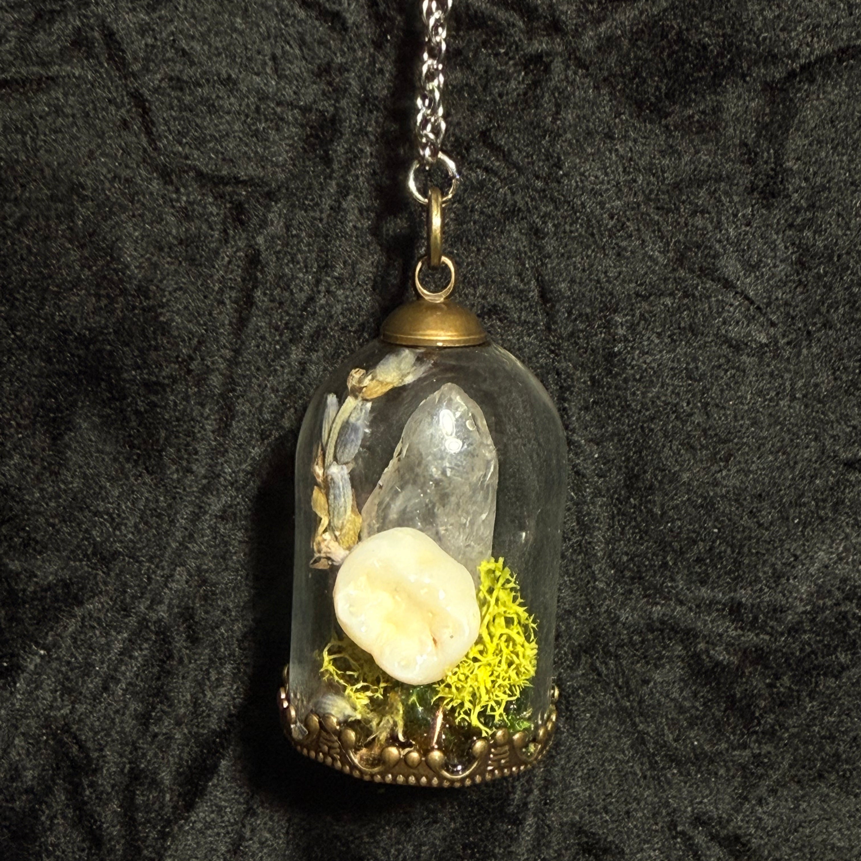 Relic of Passage — Tooth Curio Cloche Necklace