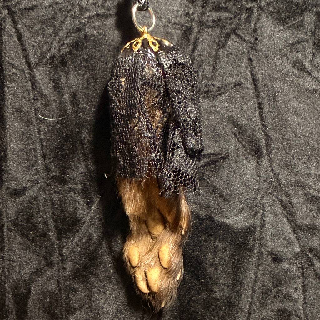 Veil of Remains – Preserved Mink Paw Necklace