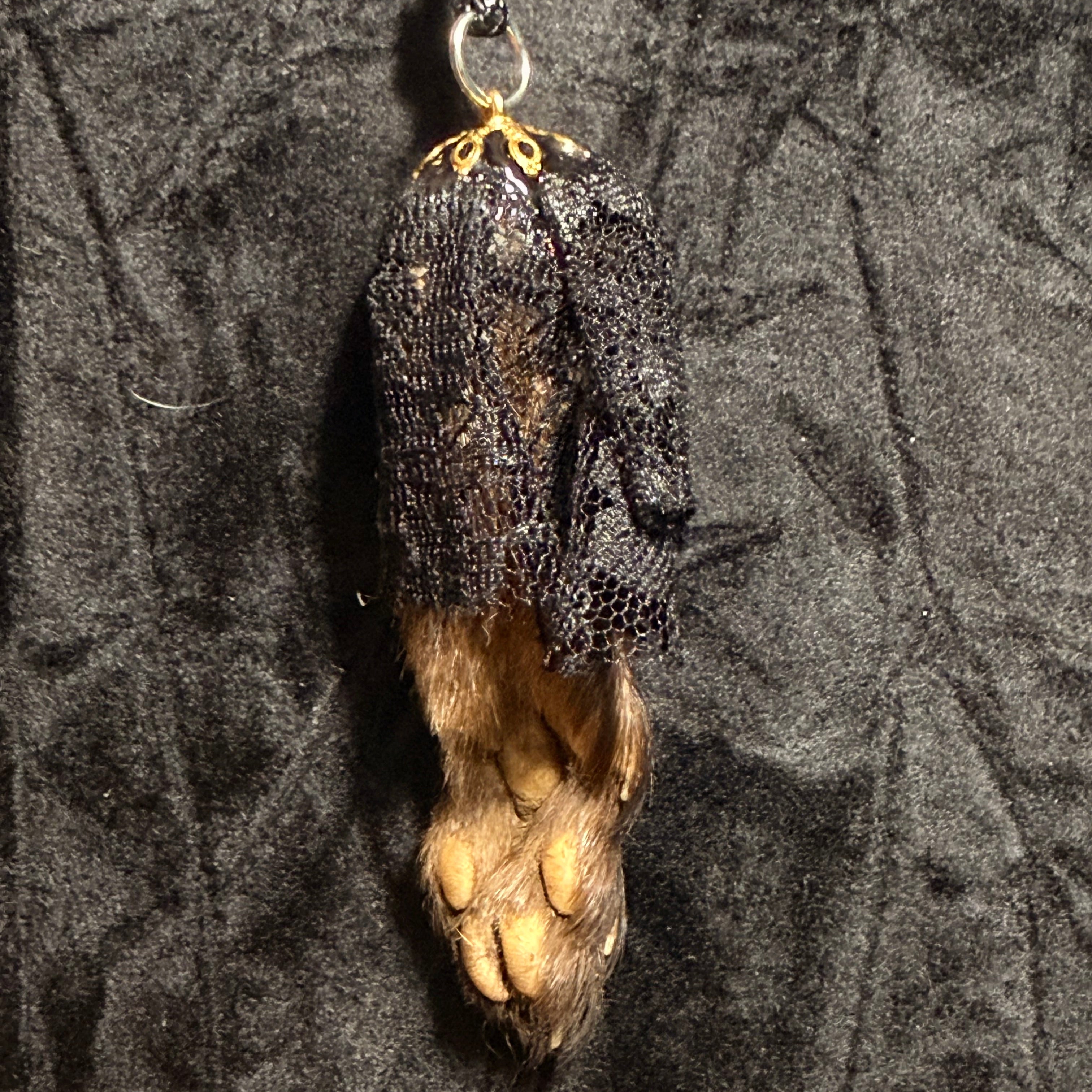 Veil of Remains – Preserved Mink Paw Necklace