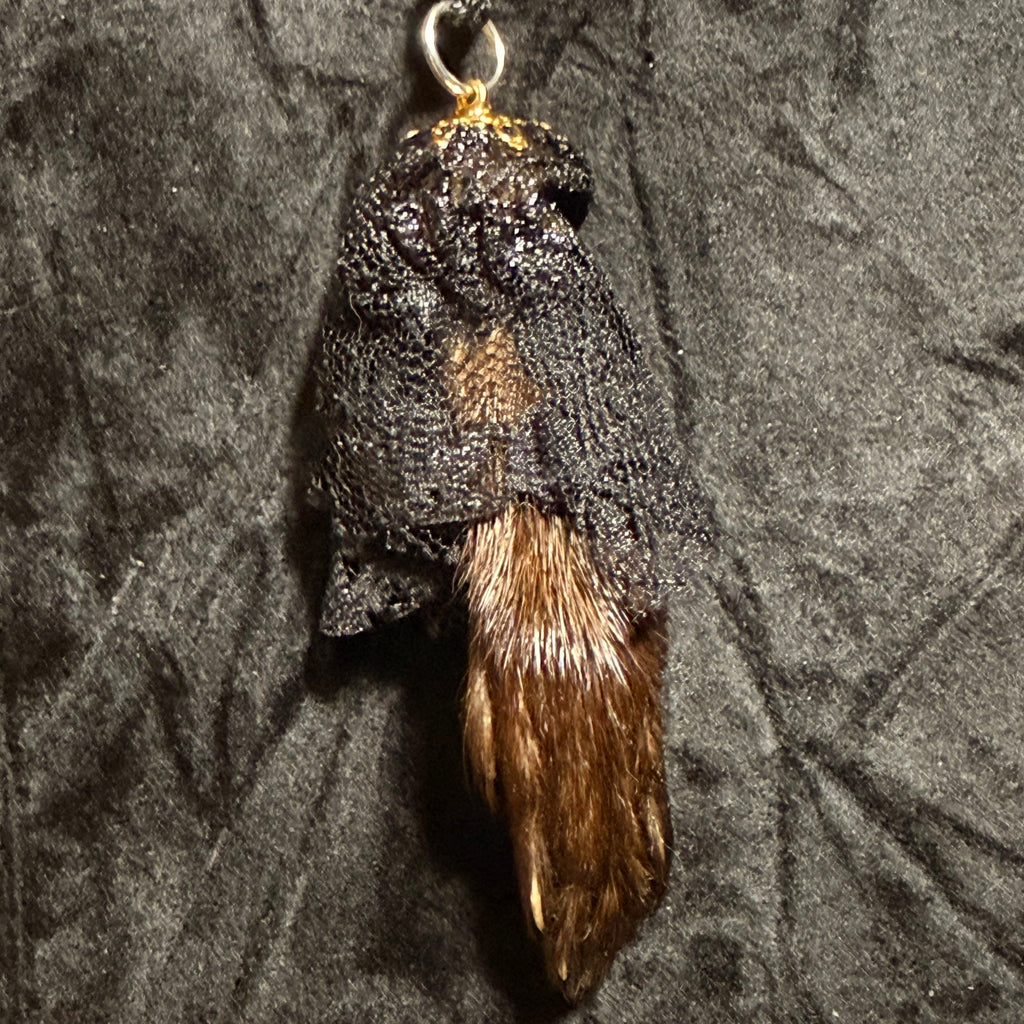 Veil of Remains – Preserved Mink Paw Necklace
