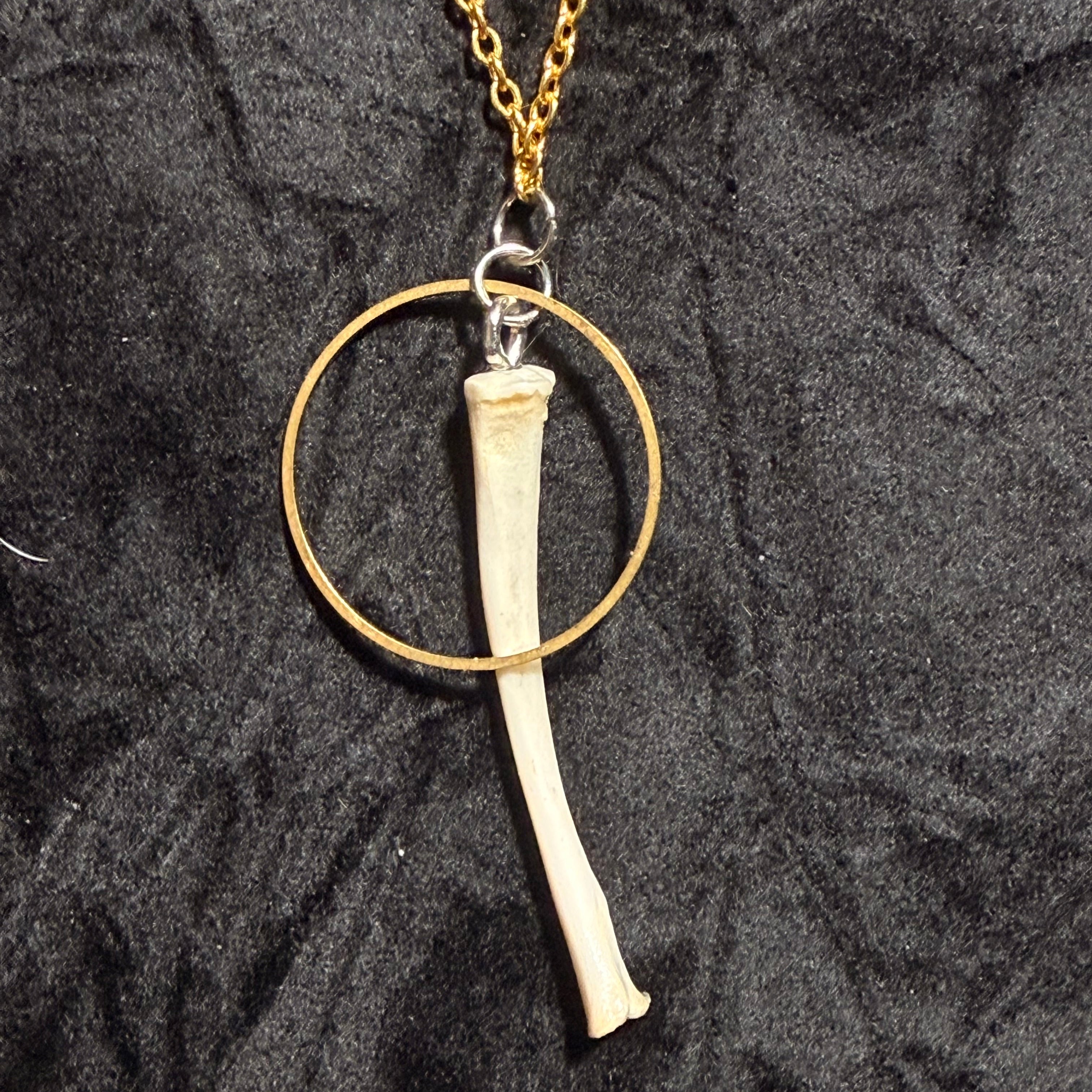 Bare Relic – Bone Circle Pendant